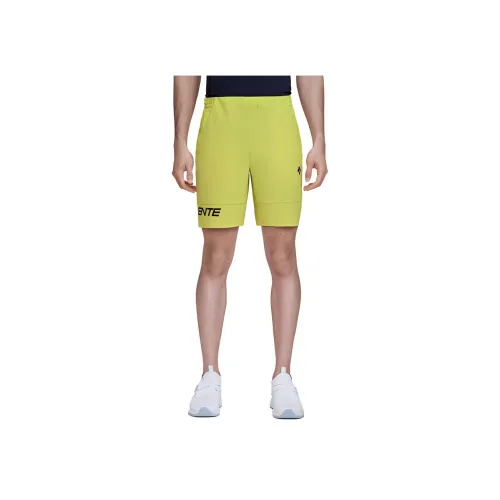 DESCENTE BLEU Мужские спортивные шорты