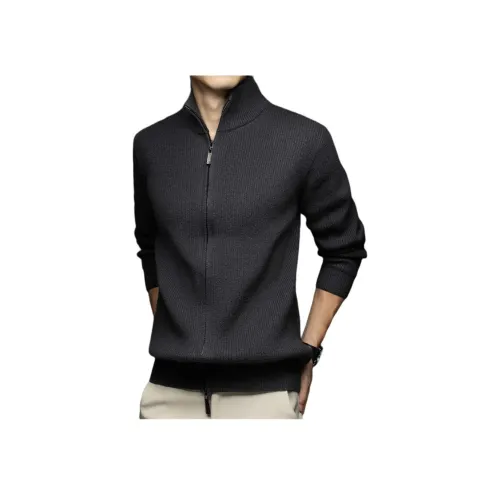 PIERRE CARDIN Мужские Свитера