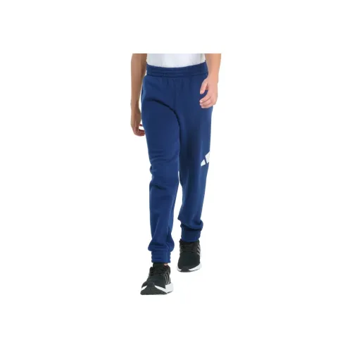 Adidas Брюки Sportswear ESS FLC Большой Лого Jogger Детский