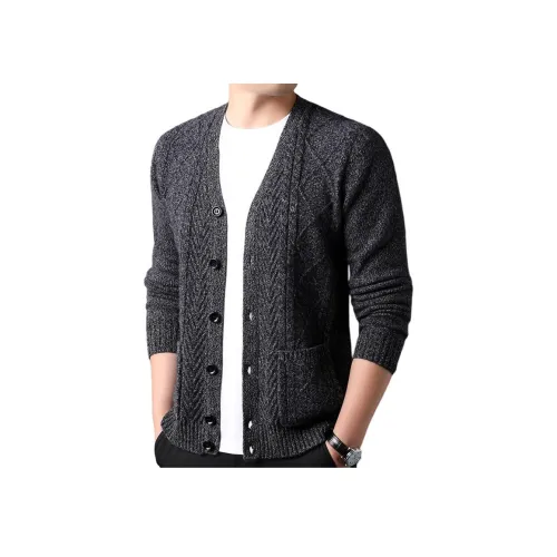 PIERRE CARDIN Мужские Свитера