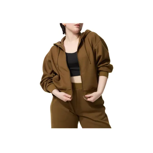 UNIQLO Умбра Женские Толстовки