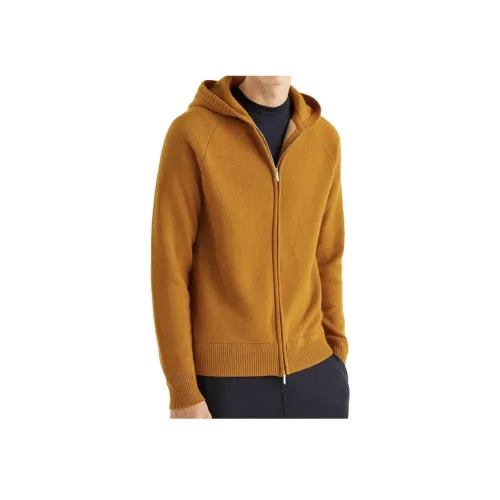 Loro Piana Коричневый Мужской Кашемировые Свитера