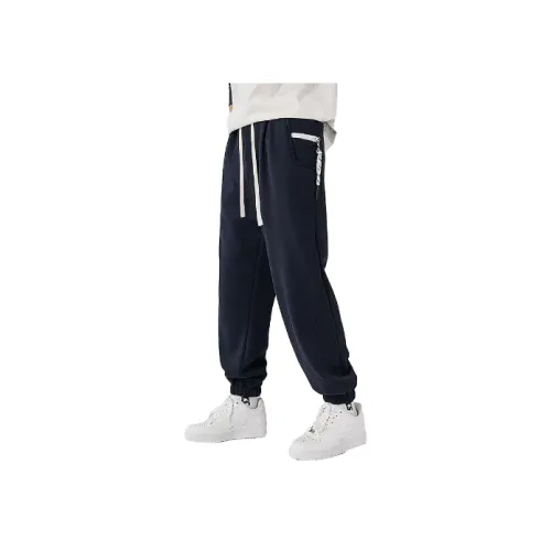 ALL IN Мужские Повседневные Брюки