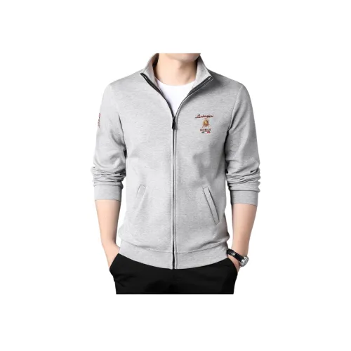 PIERRE CARDIN Мужские Свитшоты