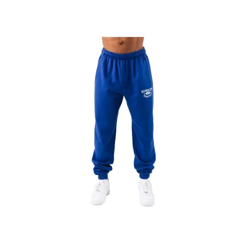 ALPHALETE Мужские Повседневные Штаны