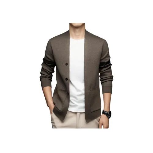 PIERRE CARDIN Мужские Свитера