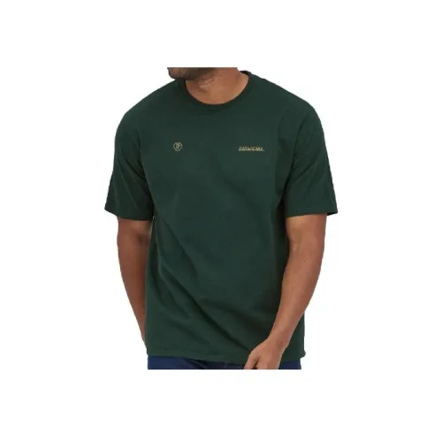 Patagonia Responsibili Tee Мужская футболка T-рубашка