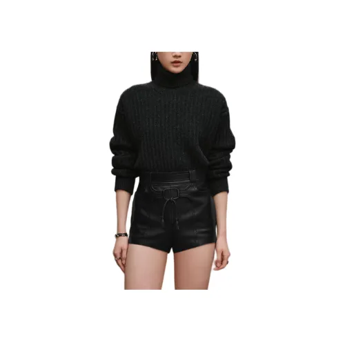 HERMES FW25 Повседневные шорты Женские