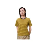 Золото, пальма, коричневый, серый, полоска