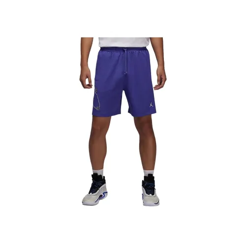 Jordan Sport Comet Фиолетовые/Белые Мужские Повседневные Шорты