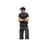 Тумано-серый