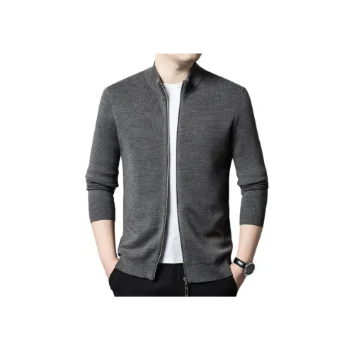 PIERRE CARDIN Мужской Трикотаж