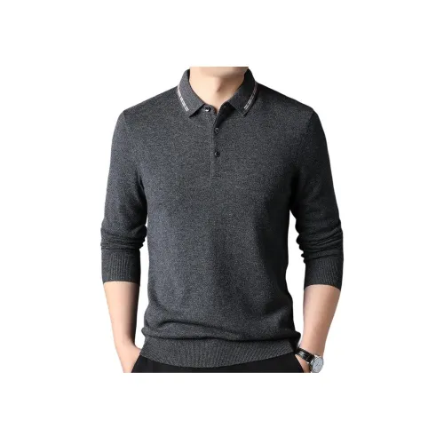 PIERRE CARDIN Мужские Свитера