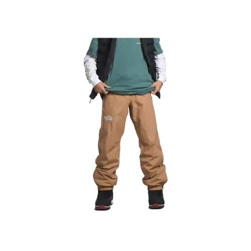 THE NORTH FACE Коричневый Мужской Повседневный Брюки