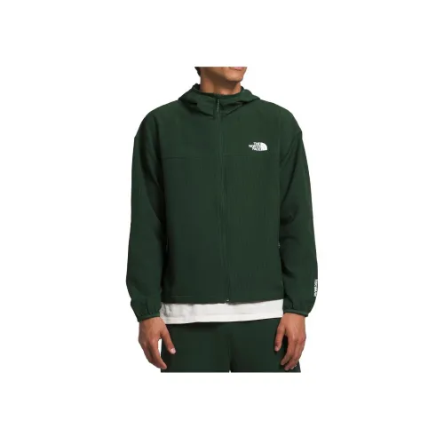 THE NORTH FACE Зеленый Мужской Свитшот