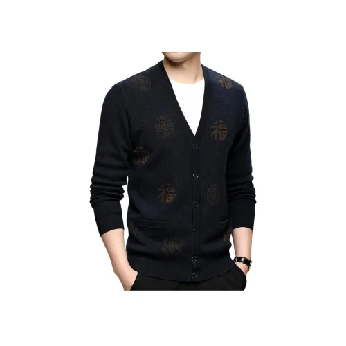 PIERRE CARDIN Мужские Свитера