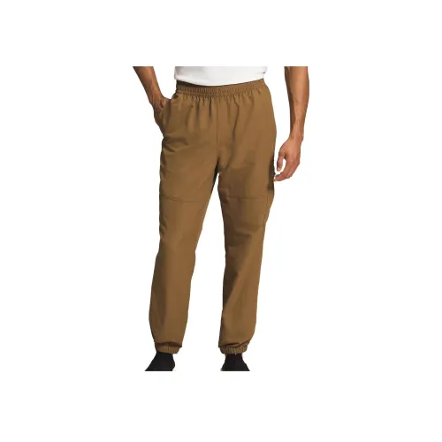 THE NORTH FACE Ветрозащитные штаны мужские коричневые