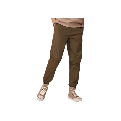 Dickies Мшисто-зеленые Мужские Повседневные Штаны