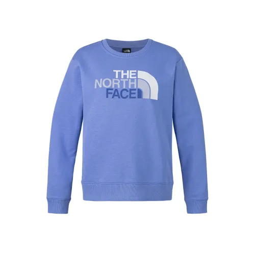 THE NORTH FACE Urban Exploration Толстовка Женская Синий Фиолетовый