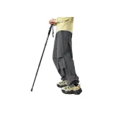 Длинный лайм