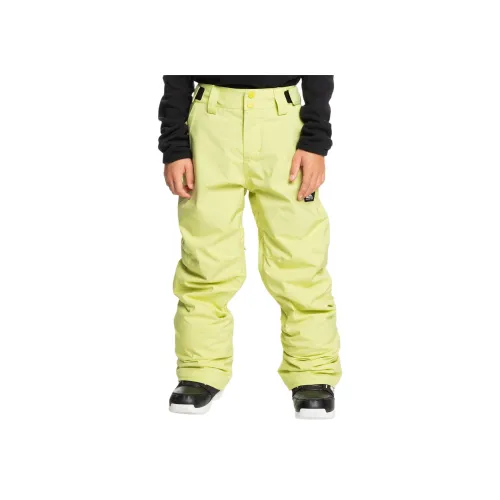 Quiksilver Celery Зеленые Детские Лыжные Брюки