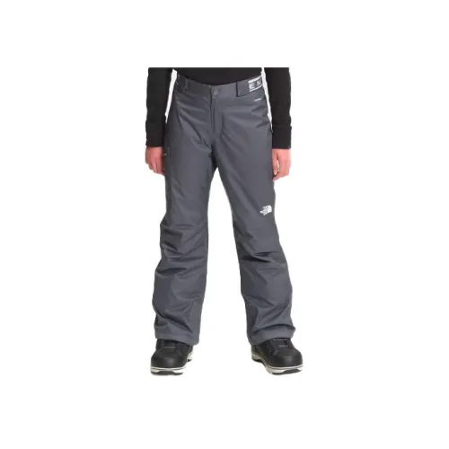 The North Face Серые Детские Лыжные Брюки