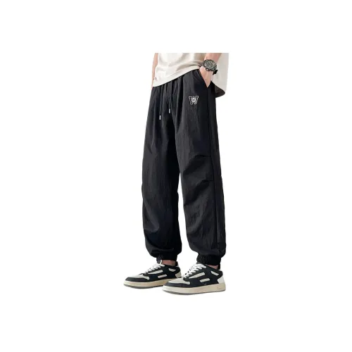 JEANSWEST Мужские Повседневные Брюки