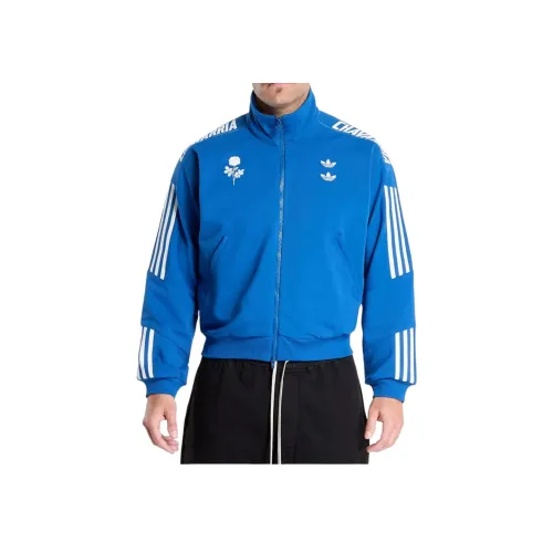 adidas Clothing Глубокий морской синий Мужские куртки
