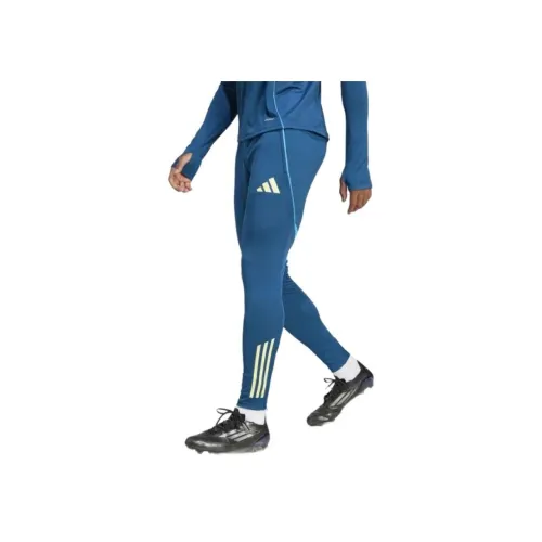 adidas Clothing Синий Спортивная одежда для мужчин Брюки