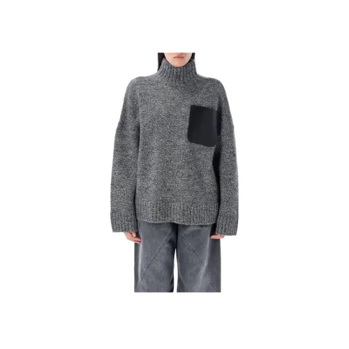 JW Anderson Серые Женские Свитера
