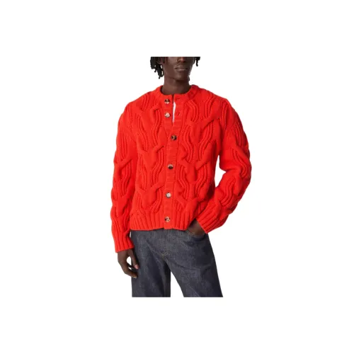 Bottega Veneta FW25 Свитер Мужской