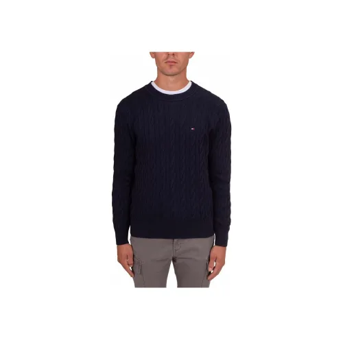 Tommy Hilfiger Синие Мужские Свитера