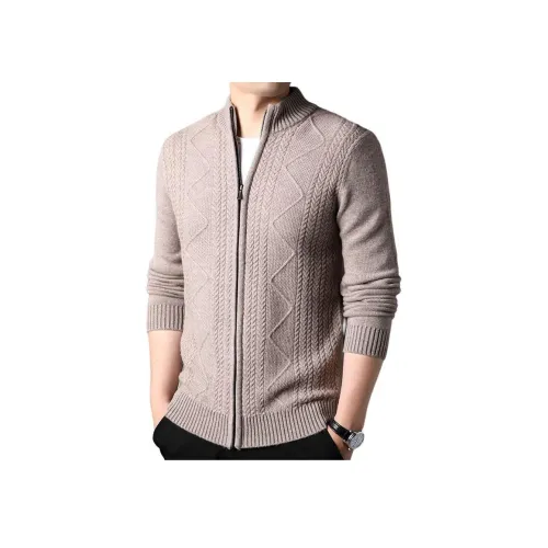 PIERRE CARDIN Мужские Свитера