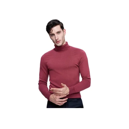 JODOLL Мужские Свитера