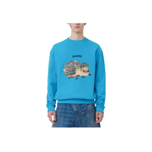 JW Anderson Синий Мужской Свитшот