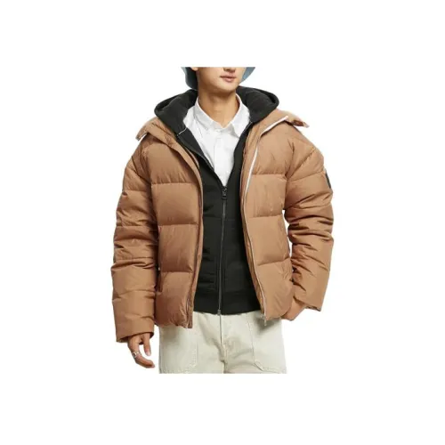 Calvin Klein CAMEL Мужские Пуховики