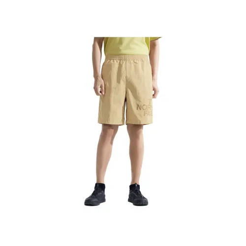 The North Face Повседневные шорты Мужские Камень Коричневый