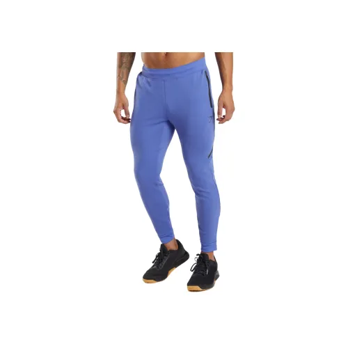 GYMSHARK Синий Мужские спортивные брюки