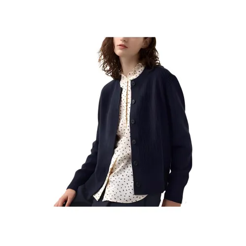 UNIQLO Comptoir des Cotonniers Collaboration Морской синий Женские Трикотаж