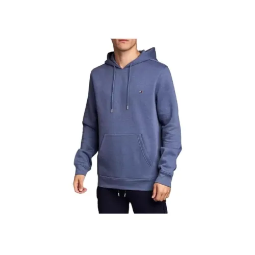 Tommy Hilfiger Синий Мужской Свитшот
