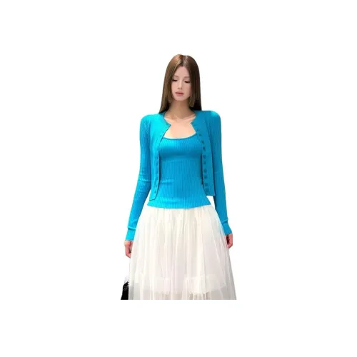 SKYA Синий Женские Повседневные Костюмы