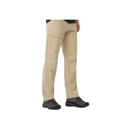 SALOMON WAYFARER Повседневные брюки Мужские Хаки