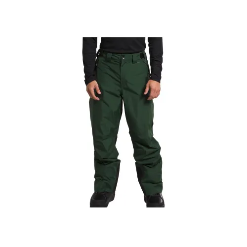 THE NORTH FACE Сосновый зеленый цвет Мужские Повседневные Штаны