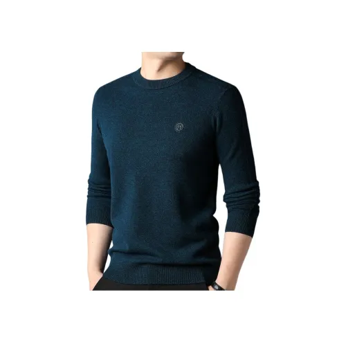 PIERRE CARDIN Мужские Свитера