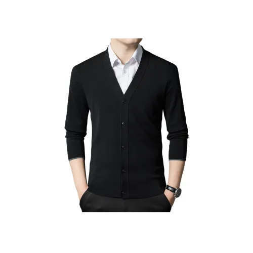 PIERRE CARDIN Мужской Трикотаж