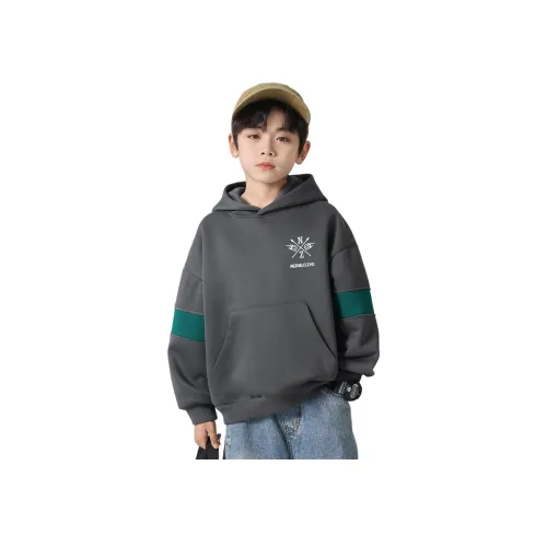 BIG WASP Мальчики Повседневный худи Весенний Осенний Комплект