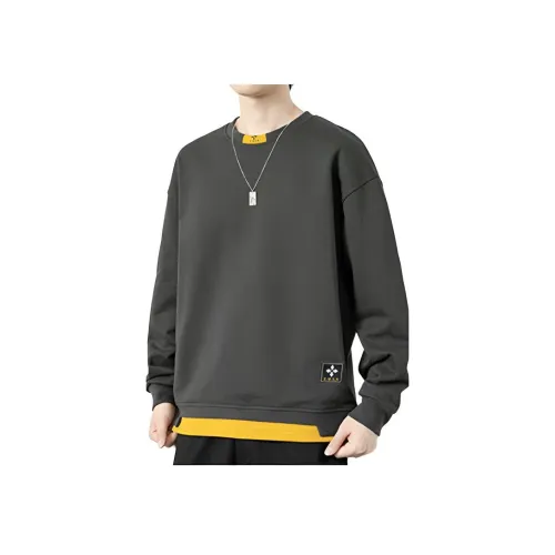 FUNST Мужские Свитшоты