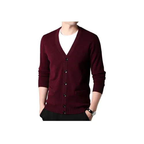 PIERRE CARDIN Мужские Свитера