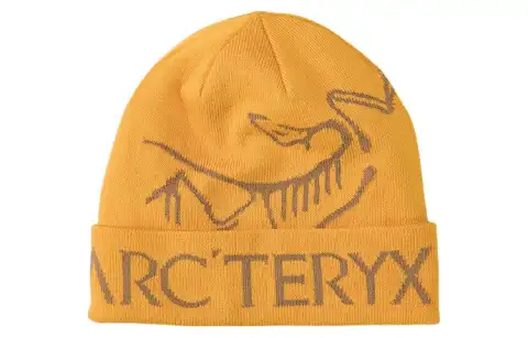 Arc'teryx Logo Beanie