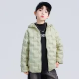 Горох Зеленый